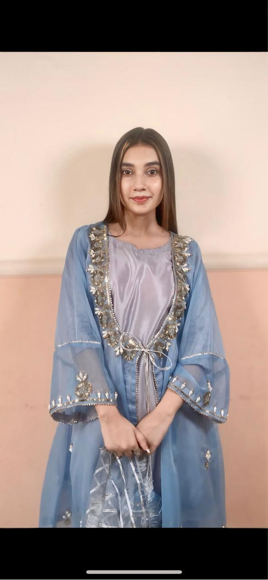 Embroidered Festive Dress