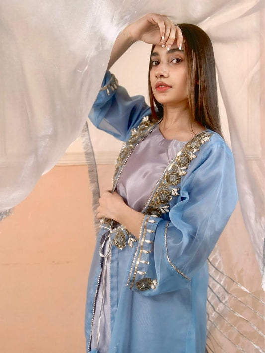 Embroidered Festive Dress