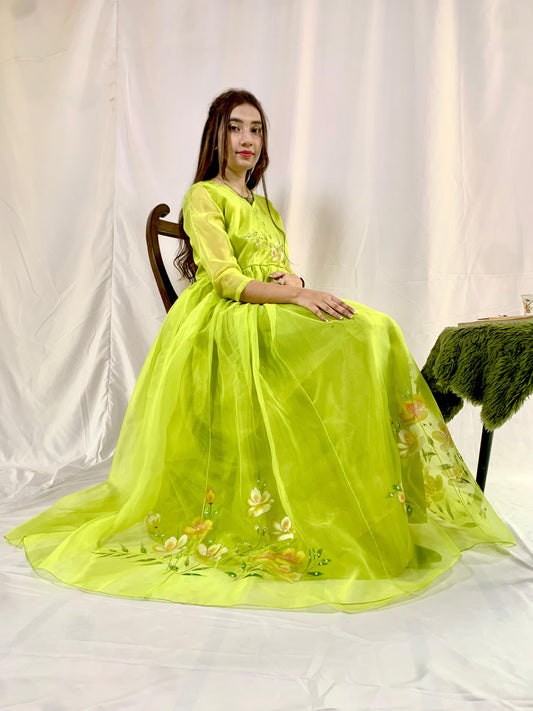 Cinderella Dream Frock