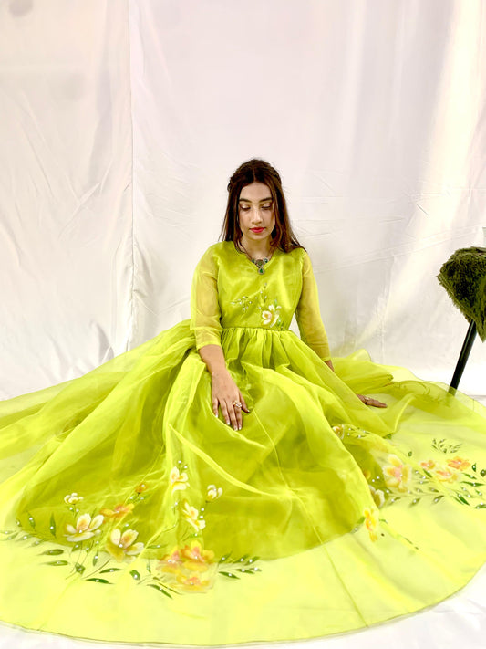 Cinderella Dream Frock