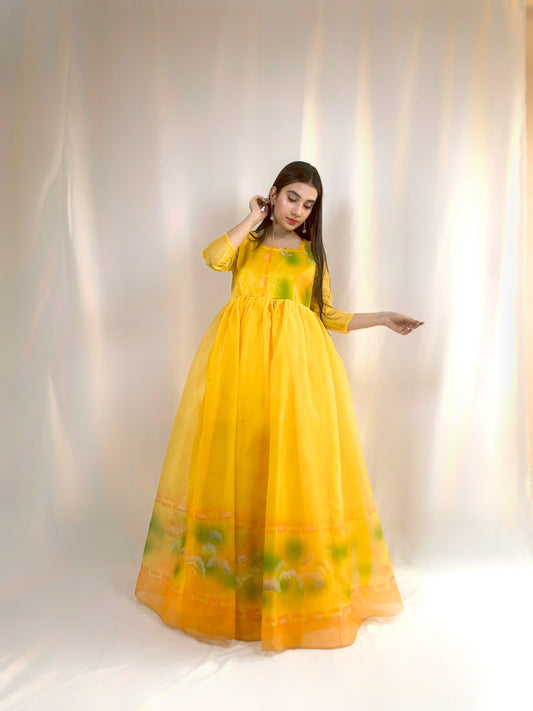 Cinderella Dream Frock