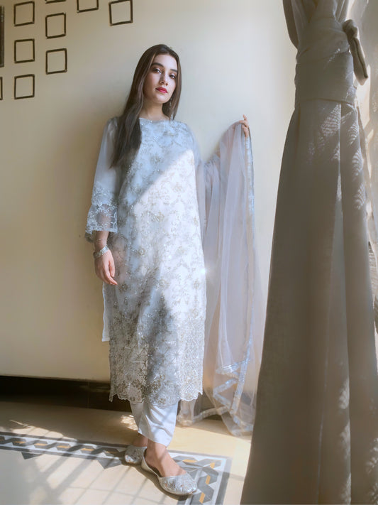 Sequin Silver Festive Dress