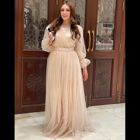 Dazzling Skin Net Frock