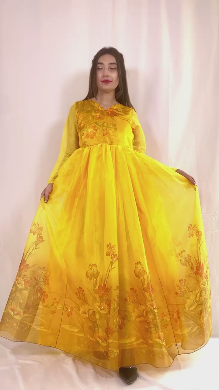 Cinderella Dream Frock